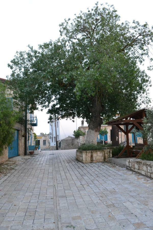 Malietzis House Pano Arodes